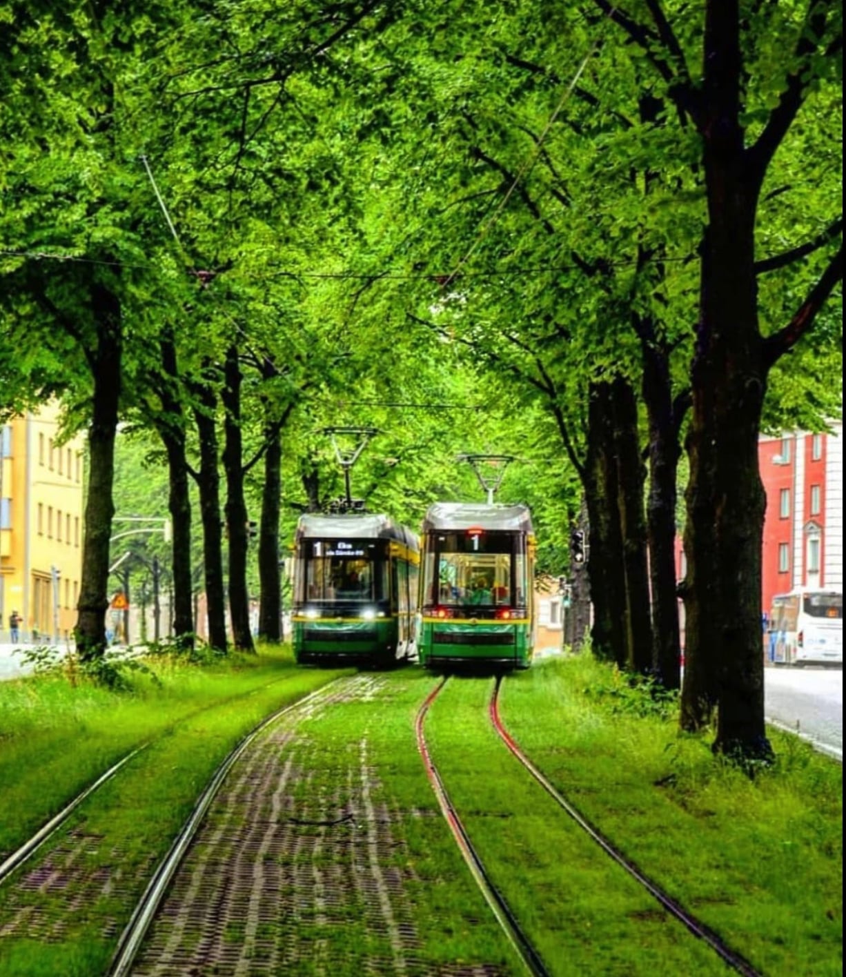 Green and sustainable growth