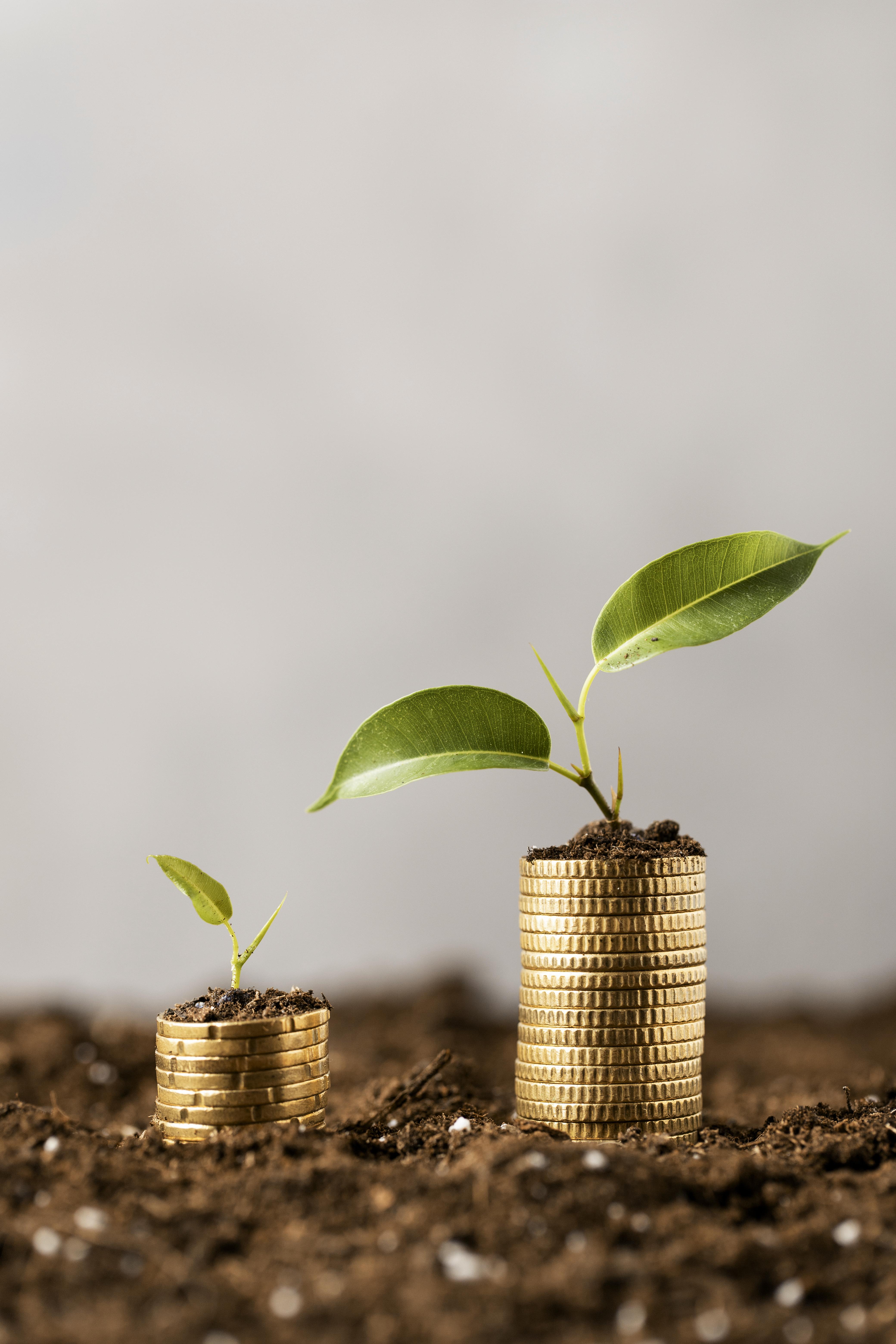 Green initiative